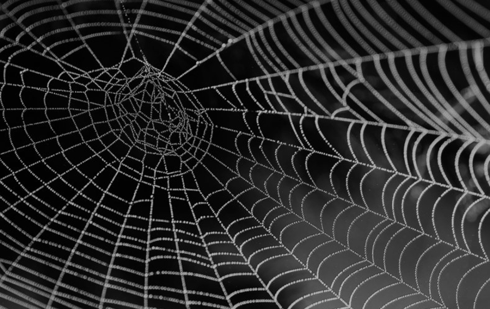 Dark web