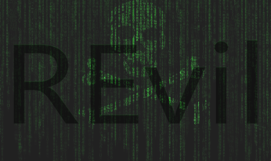 REvil Ransomware Group