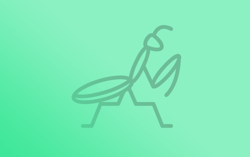 Praying Mantis Cyber Attack