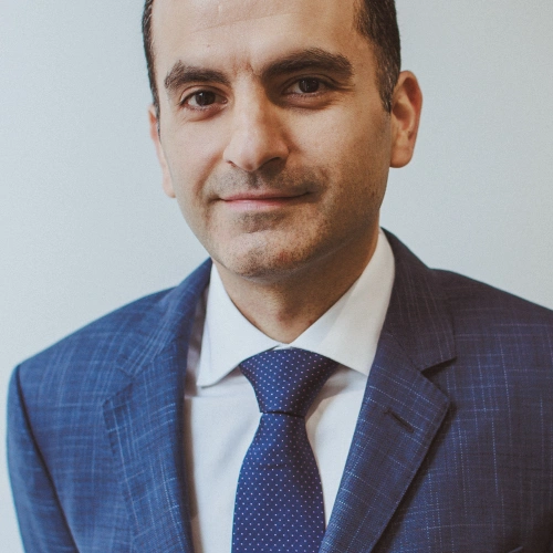 Soroush Fini