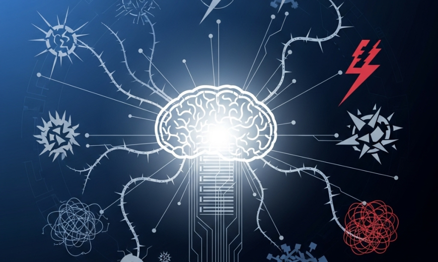 The Anatomy of Cyber Risk