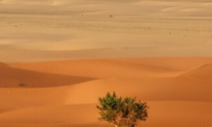 The Quest For Resilience v2